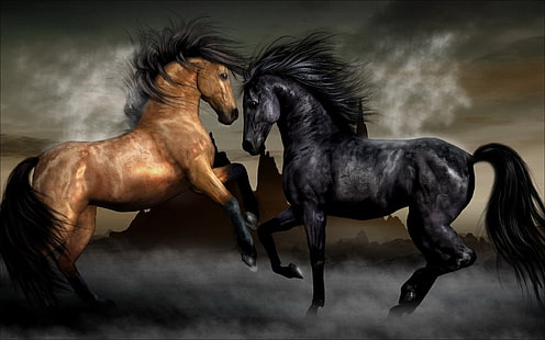 2本の額と黒い馬、霧、馬、馬、ペア、 HDデスクトップの壁紙 HD wallpaper