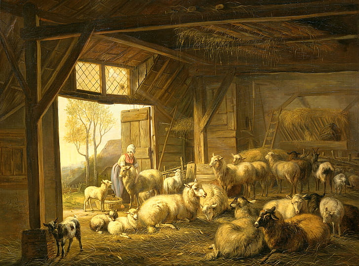 animaux, huile, image, toile, Jan van Ravenswaay, moutons et chèvres dans la grange, Fond d'écran HD