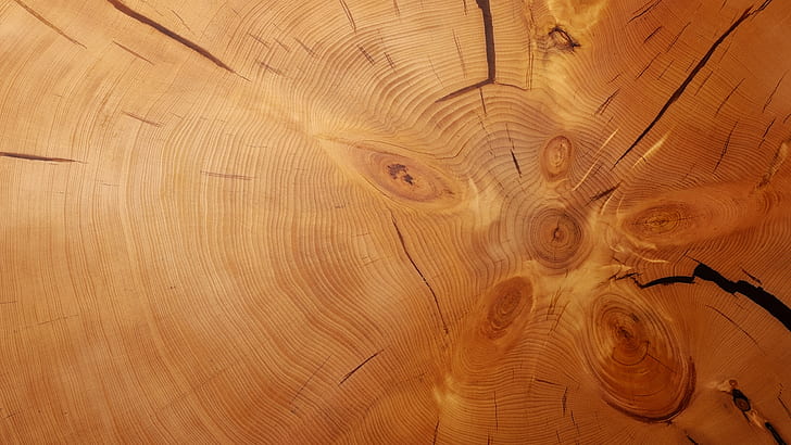 alam, kulit pohon, kayu, tekstur, Wallpaper HD