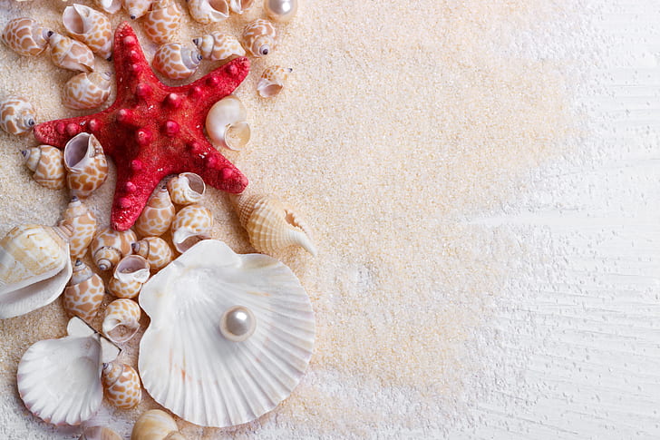 sand, star, shell, wood, marine, still life, pearl, starfish, seashells, perl, HD wallpaper
