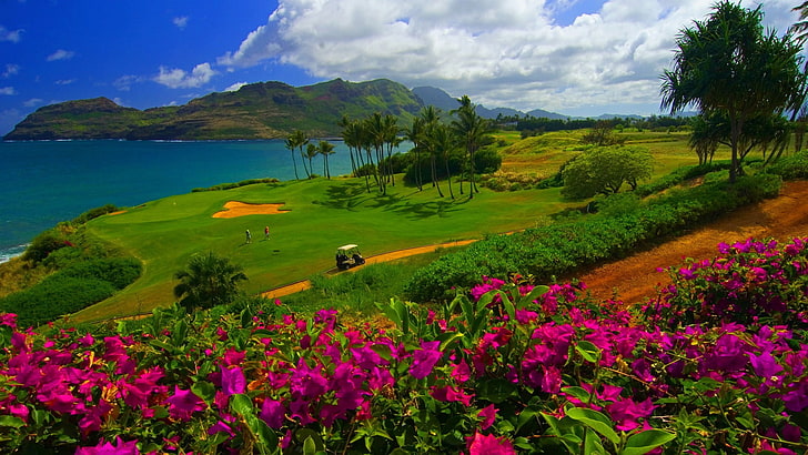 pelouse, nature, paysage, eau, arbres, mer, Hawaii, parcours de golf, fleurs, herbe, sable, palmiers, montagnes, collines, nuages, Fond d'écran HD