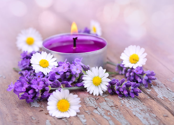 lila Kerze, Blumen, Kerzen, Blütenblätter, Lavendel, HD-Hintergrundbild