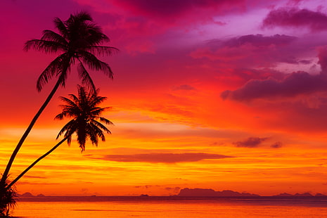 zachód słońca, chmury, krajobraz, natura, tropikalna plaża, ocean, palmy, ocean, sceneria zachód słońca, krajobrazy zachód słońca, piękne czerwone niebo, Tapety HD HD wallpaper