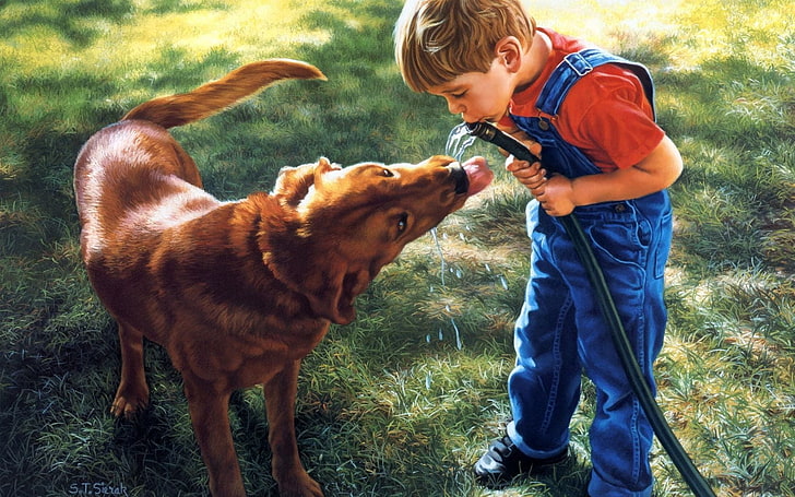 adult dark golden retriever, child, boy, dog, water, hose, thirst, HD wallpaper