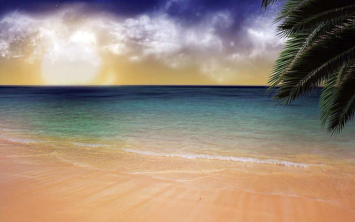 илюстрация на океанска вода, плаж, пясък, палми, море, небе, HD тапет