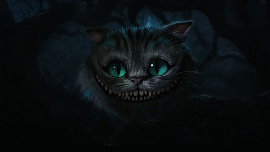 cheshire cat hd panoramiczny na pulpicie, Tapety HD HD wallpaper