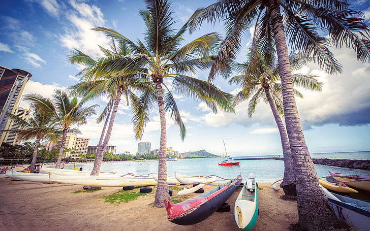 Tropisches Palme-Strand-Gebäude-Ozean-Kanu HD, Natur, Bäume, Ozean, Strand, Gebäude, tropisch, Palme, Kanu, HD-Hintergrundbild