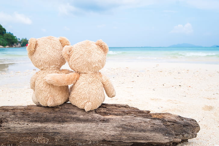 sand, sea, beach, love, toy, bear, pair, Board, two, romantic, couple, teddy, cute, HD wallpaper