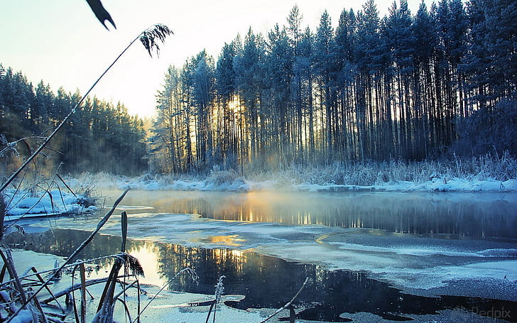 氷の風景冬の雪の木霜川1920x1200自然川HDアート、氷、風景、 HDデスクトップの壁紙