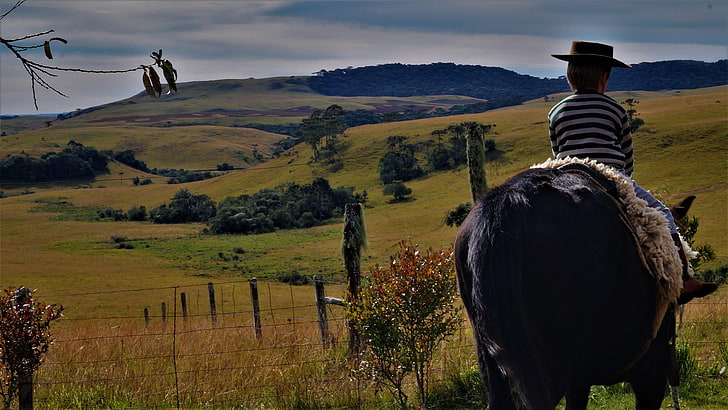 gaucho, landscape, nature, horse, farm, tree, field, HD wallpaper