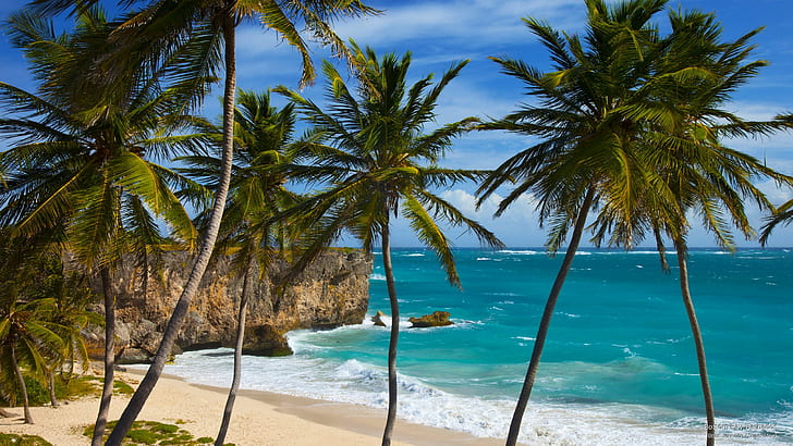 Bottom Bay, Barbados, Beaches, HD wallpaper