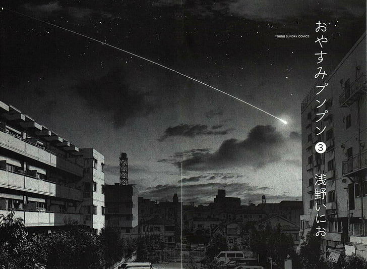 fotografía de caída de estrellas durante la noche, manga, monocromo, Oyasumi Punpun, Fondo de pantalla HD