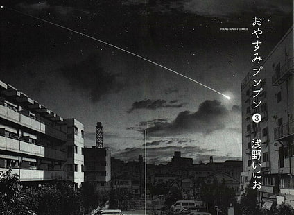 fotografi av stjärnfall under natten, manga, svartvitt, Oyasumi Punpun, HD tapet HD wallpaper