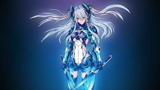 Anime Kunst, Anime Mädchen, Schwert, Krieger Frau, Krieger, lange Haare, HD-Hintergrundbild HD wallpaper