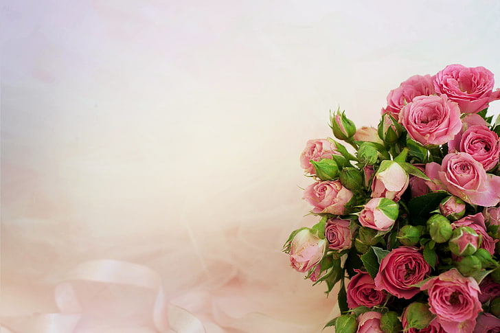 ピンクのバラの花束、背景、バラ、花束、ピンク、 HDデスクトップの壁紙