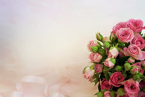 ช่อกุหลาบสีชมพู, พื้นหลัง, ดอกกุหลาบ, ช่อดอกไม้, สีชมพู, วอลล์เปเปอร์ HD HD wallpaper
