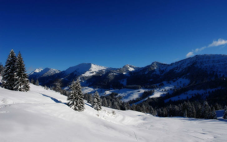 Great Winter Lscape, blue sky, forest, winter, mountains, nature and landscapes, HD wallpaper