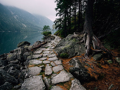 Ilustración de camino de hormigón gris, camino, árboles, lago, naturaleza, Fondo de pantalla HD HD wallpaper