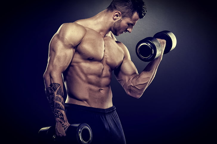 black dumbbells, muscle, bodybuilder, barbell, weight training, HD wallpaper