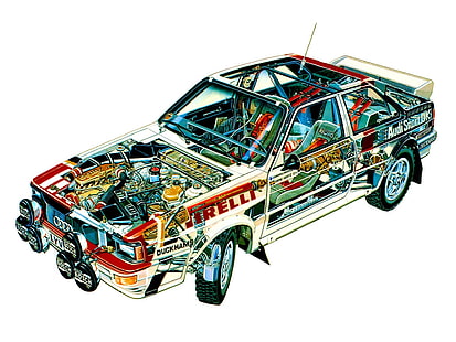 1981年、アウディ、車、カッタウェイ、エンジン、グループ、インテリア、クワトロ、レース、レース、ラリー、typ、 HDデスクトップの壁紙 HD wallpaper