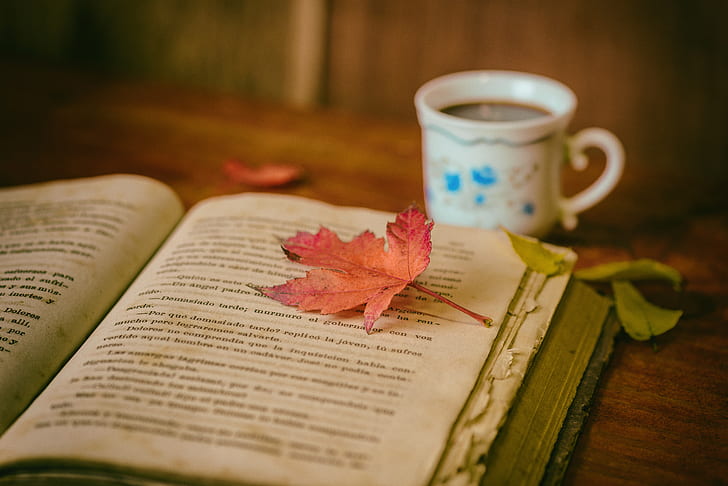 book, leaves, cup, autumn, comfort, reading, coffee, HD wallpaper