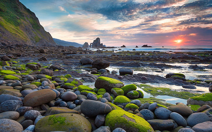 苔石のビーチの太陽が昇る、灰色の石、苔、石、ビーチ、太陽、上昇、 HDデスクトップの壁紙