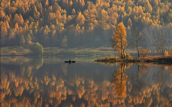 árbol de hoja naranja, naturaleza, paisaje, lago, bosque, montañas, otoño, reflexión, barco, árboles, agua, niebla, calma, amarillo, Fondo de pantalla HD