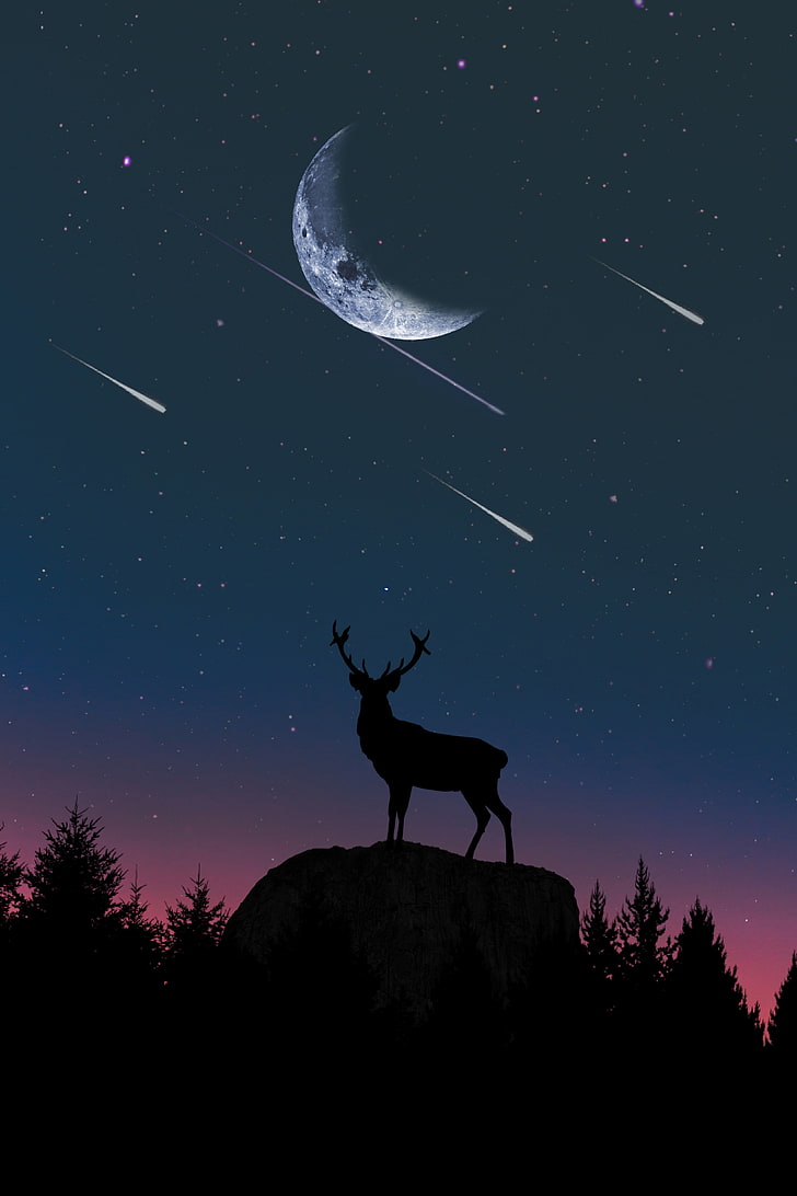 ciervos, estrellas fugaces, noche, silueta, luna, paisaje, Fondo de pantalla HD, fondo de pantalla de teléfono