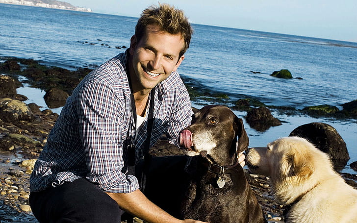Charles Bradley Cooper, Bradley Cooper, cães, praia, ator, mar, céu, Charles Bradley Cooper, Bradley Cooper, cães, praia, ator, HD papel de parede