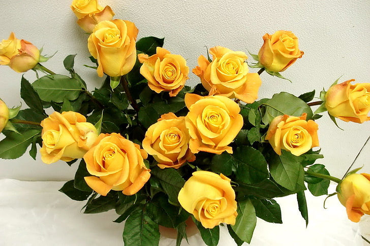 buket mawar kuning, mawar, kuning, bunga, vas, anggun, Wallpaper HD
