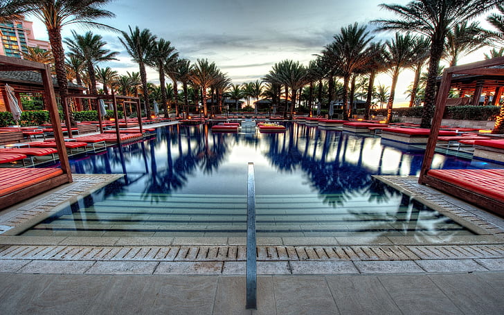 piscina, palmeras, reflejo, cielo, Fondo de pantalla HD