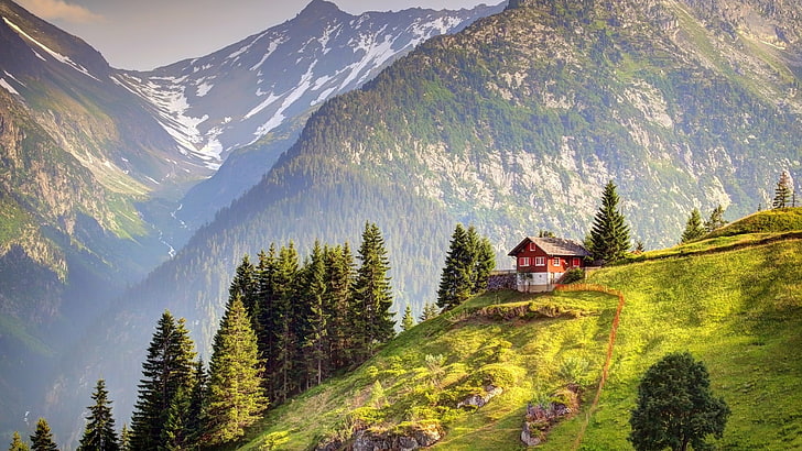 منزل خشبي بني ، منظر طبيعي ، جبال ، كوخ ، جبال الألب السويسرية ، أشجار الصنوبر، خلفية HD