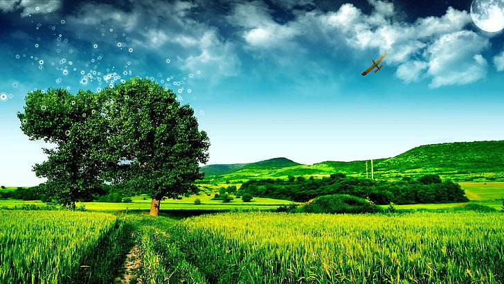 plane, sunny, summer, landscape, path, field, fly, nature, day, tree, blue, green, park, farm, spring, clouds, sky, HD wallpaper