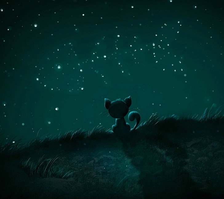 langit, hewan, bintang, kucing, karya seni, malam, Wallpaper HD