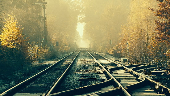 влак релса, влак, железопътна линия, коловози, гора, HD тапет HD wallpaper