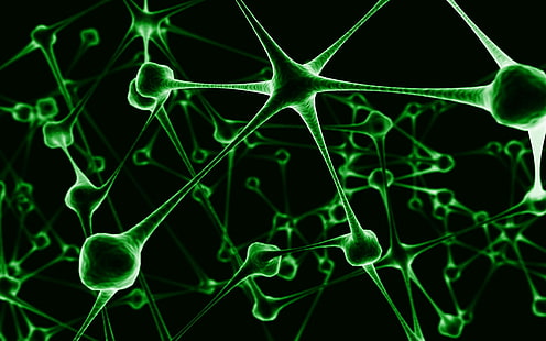 neuron, HD wallpaper HD wallpaper