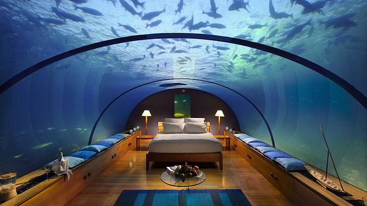 chambre d'aquarium, Conrad Maldives Rangali Island Hotel, Best Hotels of 2015, tourisme, voyage, station, vacances, chambre d'hôtel sous-marine, aquarium, lit, poisson, réservation, Fond d'écran HD
