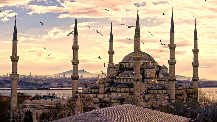 city, historical, tower, towers, turkey, istanbul, sultan ahmet camii, 8k uhd, sky, sultan ahmed mosque, 8kuhd, history, monument, 8k, seagulls, ancient history, seagull, cloud, place of worship, building, tourist attraction, blue mosque, dome, historic site, mosque, HD wallpaper