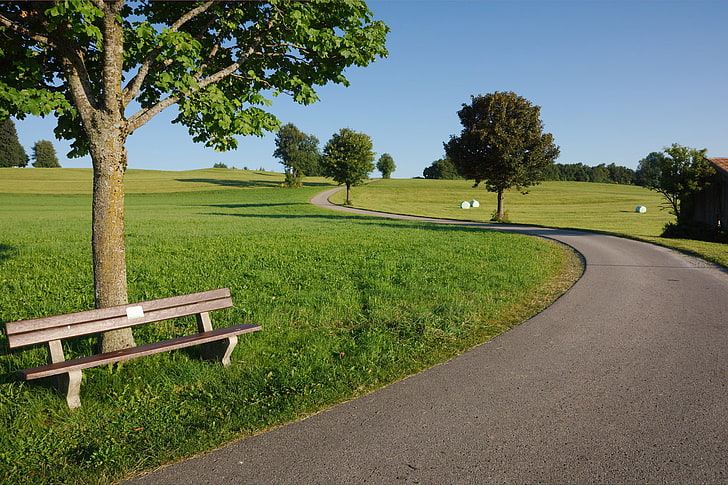 brown wooden slatted bench, road, summer, trees, bench, HD wallpaper