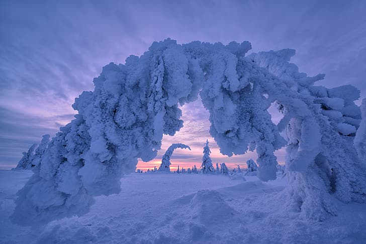 зима, снег, деревья, сугробы, арка, Финляндия, Лапландия, HD обои