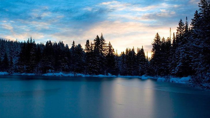 lake with pine trees landscape photography, landscape, winter, ice, forest, pine trees, HD wallpaper
