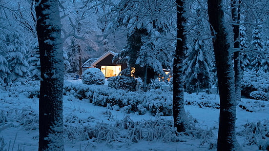 casa, cabaña de madera, nevado, invierno, nieve, bosque, Fondo de pantalla HD HD wallpaper