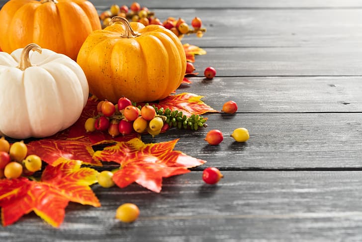 Herbst, Blätter, Hintergrund, Brett, bunt, Kürbis, Ahorn, Holz, HD-Hintergrundbild