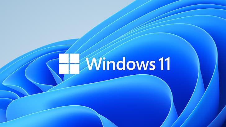 windows 11, simple, Microsoft, HD wallpaper