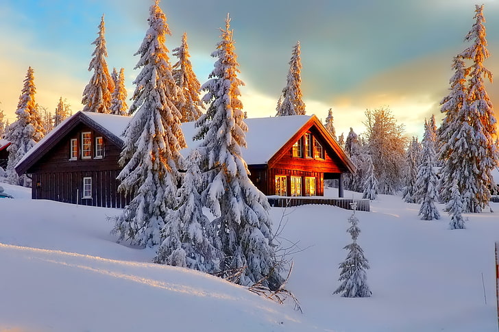 заснежени борови дървета, зима, гора, небе, сняг, дървета, пейзаж, природа, къща, HD тапет