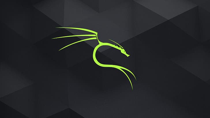 Kali, Linux, dunkel, HD-Hintergrundbild