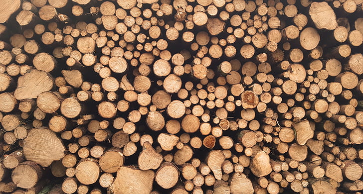drewno, wzór, Tapety HD