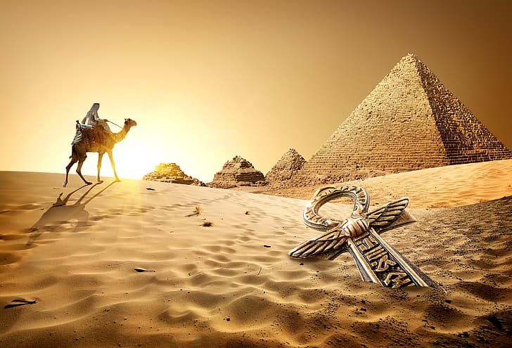 Sand, Egypt, Camels, Cairo, Desert, Sunrises and Sunsets, HD wallpaper