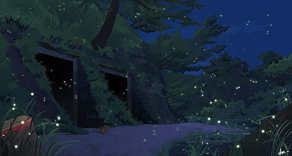 Grab der Glühwürmchen, HD-Hintergrundbild HD wallpaper