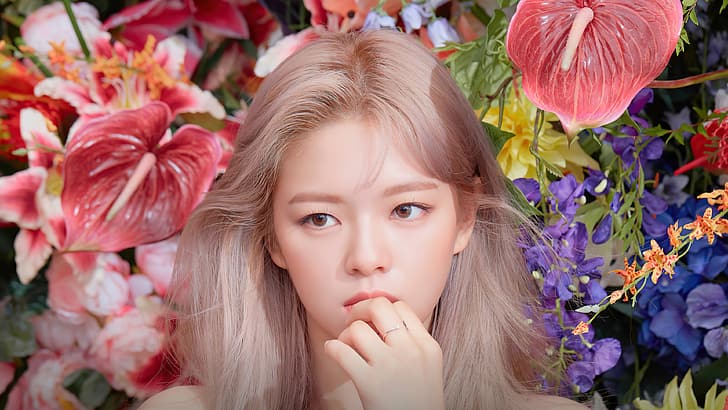 Zweimal JeongYeon, Asiatin, Frauen, gefärbtes Haar, Blumen, Sängerin, HD-Hintergrundbild